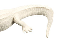 Load image into Gallery viewer, Safari Ltd  Wild Safari Wildlife White Alligator
