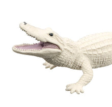 Load image into Gallery viewer, Safari Ltd  Wild Safari Wildlife White Alligator
