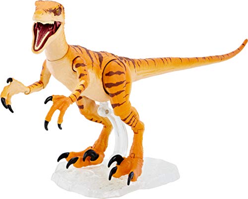 Jurassic World Amber Collection Tiger Velociraptor 6-in Dinosaur Action Figure, Movie-Authentic Detail, Movable Joints & Figure Display Stand, Collectible Gift 8 Years & Up