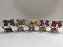 Load image into Gallery viewer, 4pcs/Lot Set Littlest Pet Shop LPS Collie Dog Brown Red lps Figure Toys Rare
