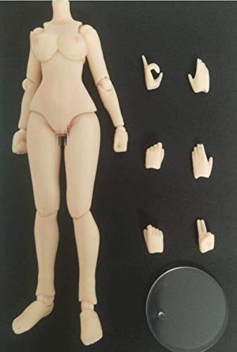 i8 TOYS Hainiu Studio 1/12 Scale Large Bust Body Pale for Female Action  Figure : : Toys & Games