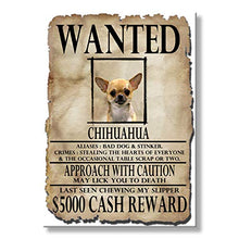 Load image into Gallery viewer, Chihuahua Wanted Fridge Magnet No 1
