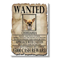 Chihuahua Wanted Fridge Magnet No 1