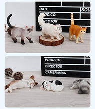 Load image into Gallery viewer, Simulation Kitty Each Cute Solid PVC Model Surprise Blind Box Doll Hand-Made Decoration Toy (Color : One)
