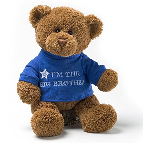 Gund I'm The Big Brother T Shirt Teddy Bear Stuffed Animal Plush, Blue, 12ã¢â€â