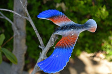 Load image into Gallery viewer, Balancing Bird Toy 6.5 Inch Wing Span Colors May Vary By C&amp;H Solutions
