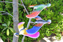 Load image into Gallery viewer, Balancing Bird Toy 6.5 Inch Wing Span Colors May Vary By C&amp;H Solutions
